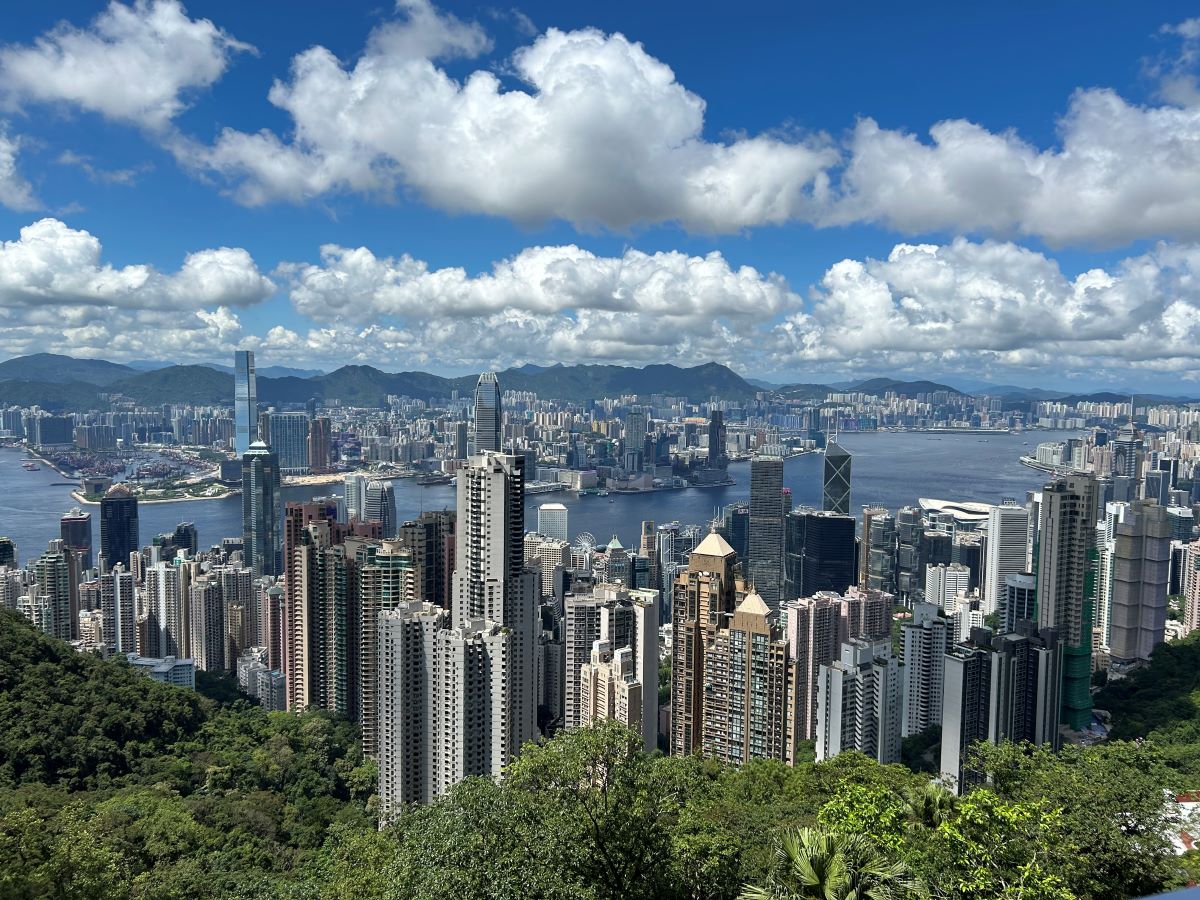 Hundreds of Hong Kong skyscrapers set against a blue sky with clouds. There is green vegetation in the foreground.