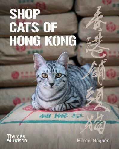 A silver tabby cat lounges atop a burlap sack in front of stacked rice bags, featured on the cover of Shop Cats of Hong Kong by Marcel Heijnen. This visually rich book, published by Thames & Hudson, is a unique addition to Hong Kong books, blending photography, culture, and feline charm.